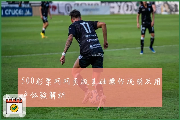 500彩票网网页版基础操作说明及用户体验解析